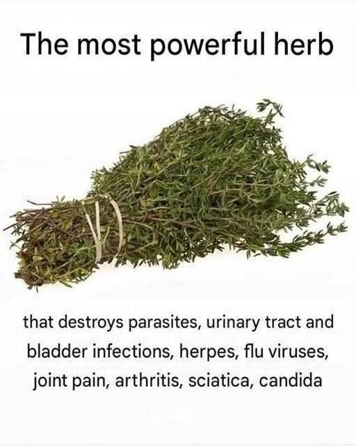 Immunity & Detox Herbal Tonic Tea FB_IMG_1762006721983