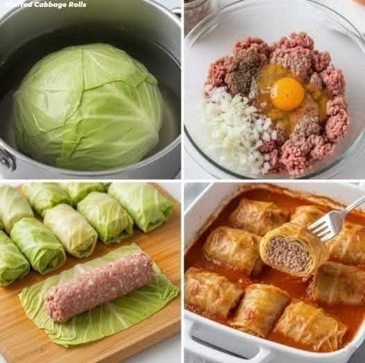 Stuffed Cabbage Rolls 612637218_1559415678659154_4727369832049524259_n